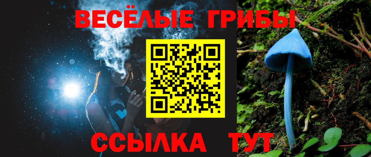 Галлюциногенные грибы ЛСД Керчь